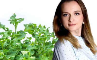 Jak się odżywiać wiosną, żeby tryskać energią?